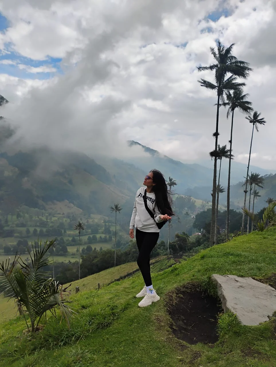 Palmas de cera en Salento, Valle de Cocora — paisaje de montaña