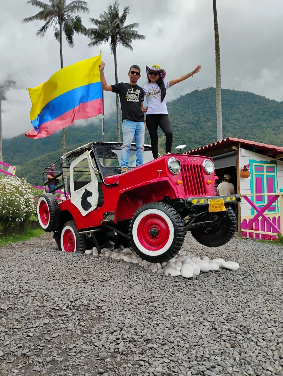 Tour al Valle del Cocora: senderismo entre palmas de cera