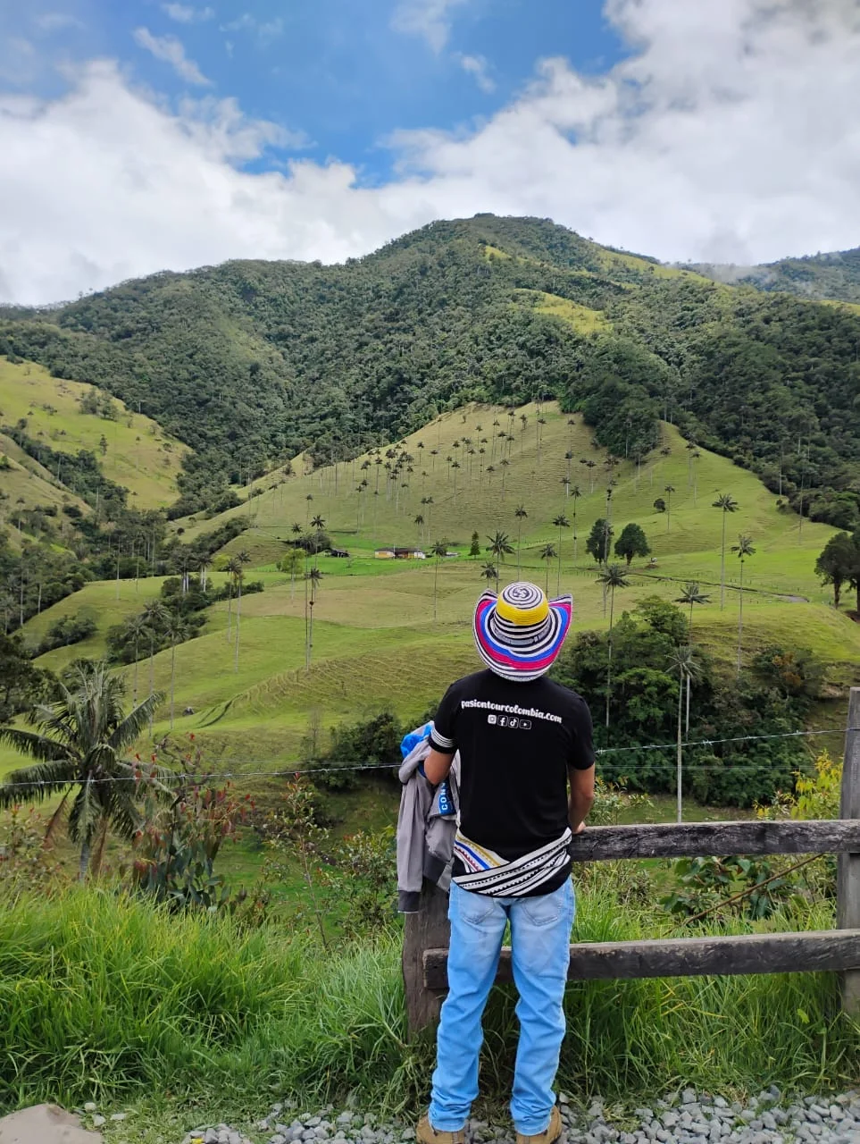 Valle del Cocora en Colombia: montañas verdes y palmas de cera